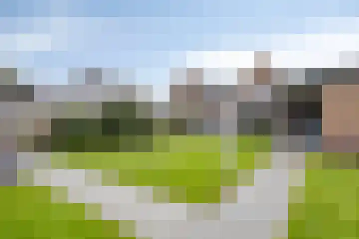 Scheivoor 1 C Ederveen thumbnail 62