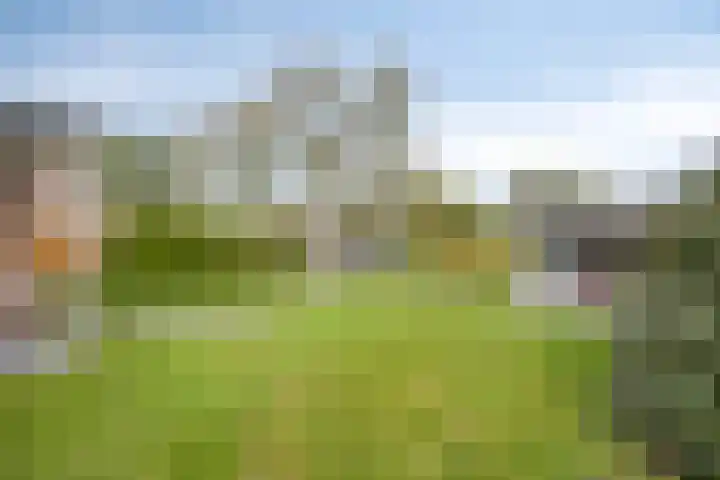 Scheivoor 1 C Ederveen thumbnail 63