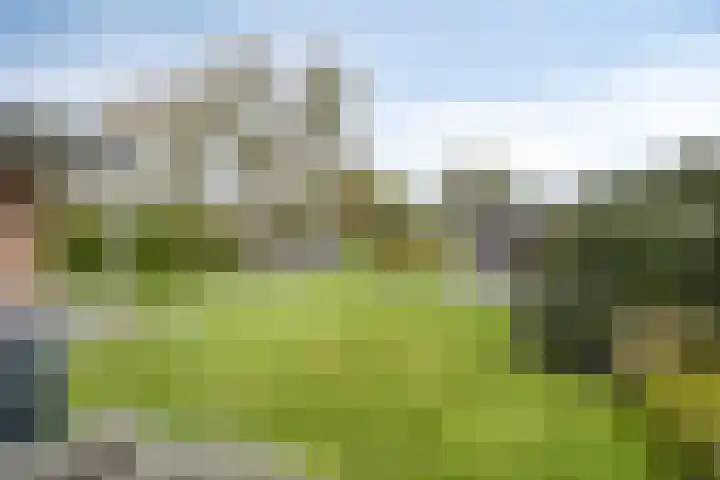 Scheivoor 1 C Ederveen thumbnail 64