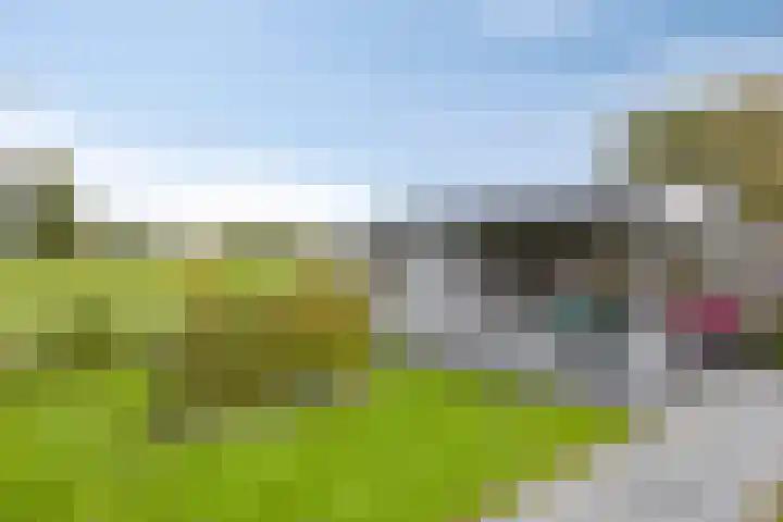 Scheivoor 1 C Ederveen thumbnail 65