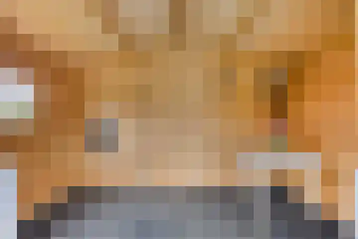 Scheivoor 1 C Ederveen thumbnail 67
