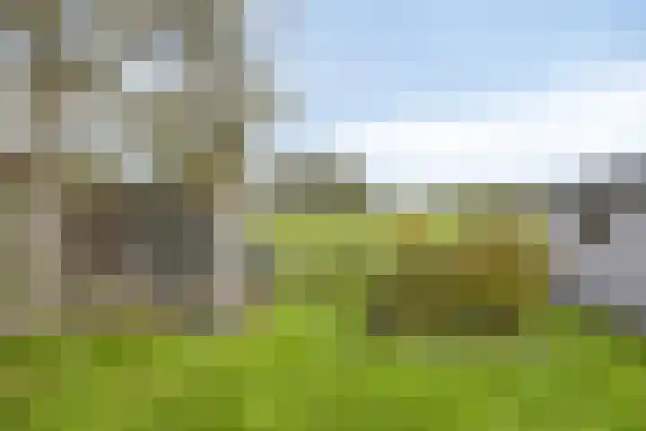 Scheivoor 1 C Ederveen thumbnail 69