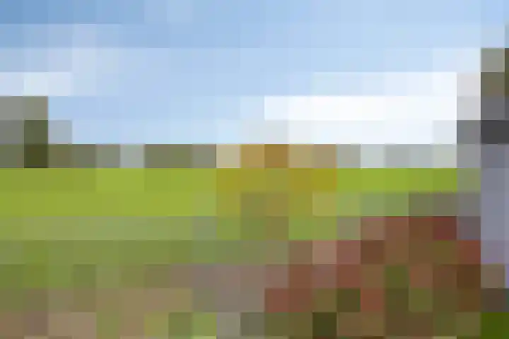 Scheivoor 1 C Ederveen thumbnail 70