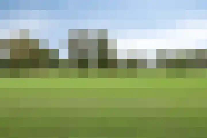 Scheivoor 1 C Ederveen thumbnail 71