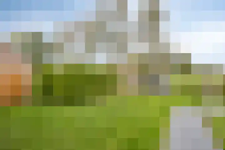 Scheivoor 1 C Ederveen thumbnail 72