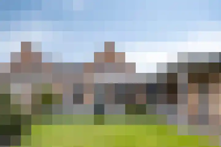 Scheivoor 1 C Ederveen thumbnail 73