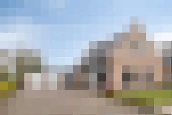 Scheivoor 1 C Ederveen thumbnail 74
