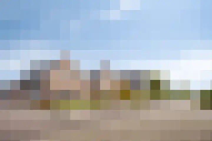 Scheivoor 1 C Ederveen thumbnail 78