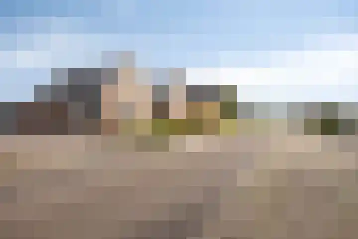 Scheivoor 1 C Ederveen thumbnail 79