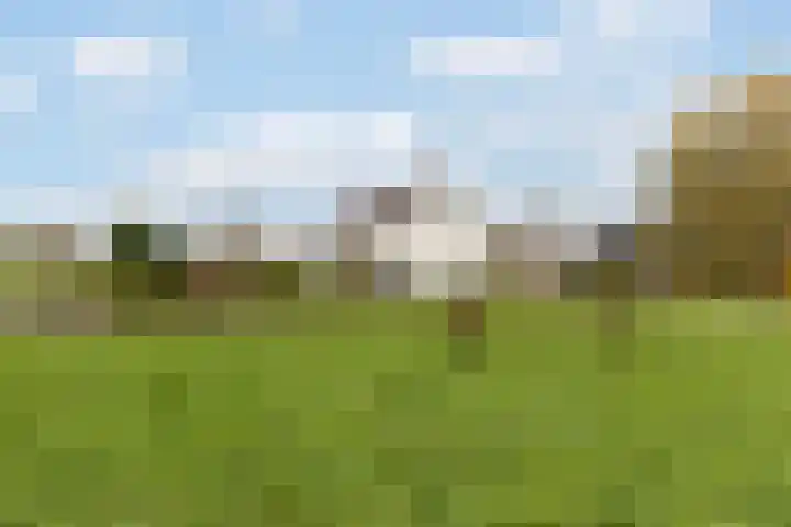Scheivoor 3 Ederveen