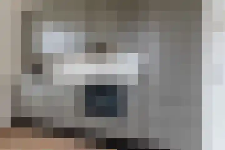 Scheivoor 3 Ederveen thumbnail 13