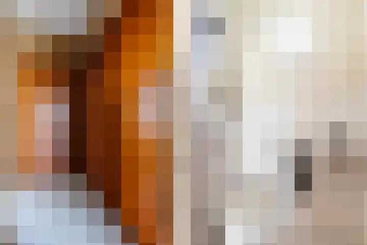 Scheivoor 3 Ederveen thumbnail 15