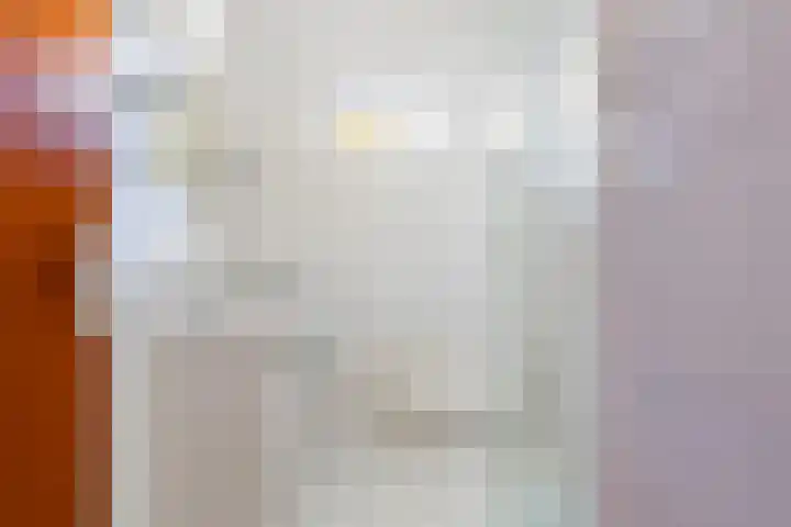 Scheivoor 3 Ederveen thumbnail 16
