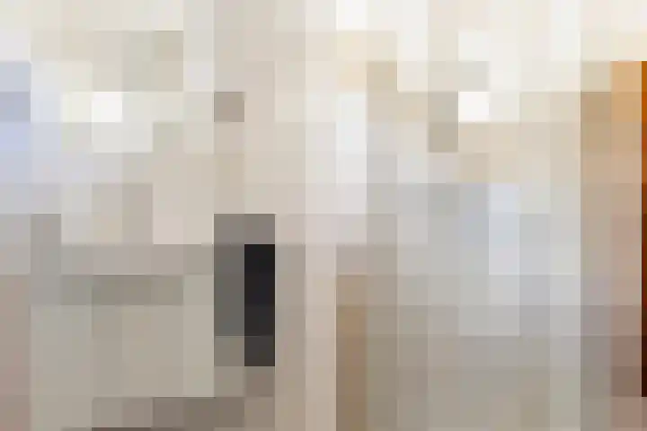 Scheivoor 3 Ederveen thumbnail 17