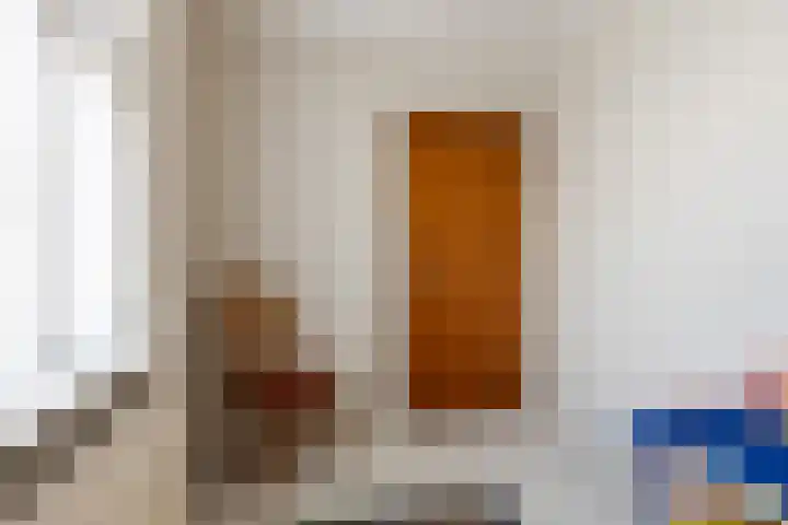 Scheivoor 3 Ederveen thumbnail 19