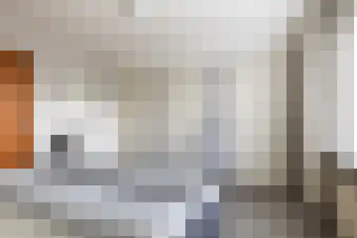 Scheivoor 3 Ederveen thumbnail 23