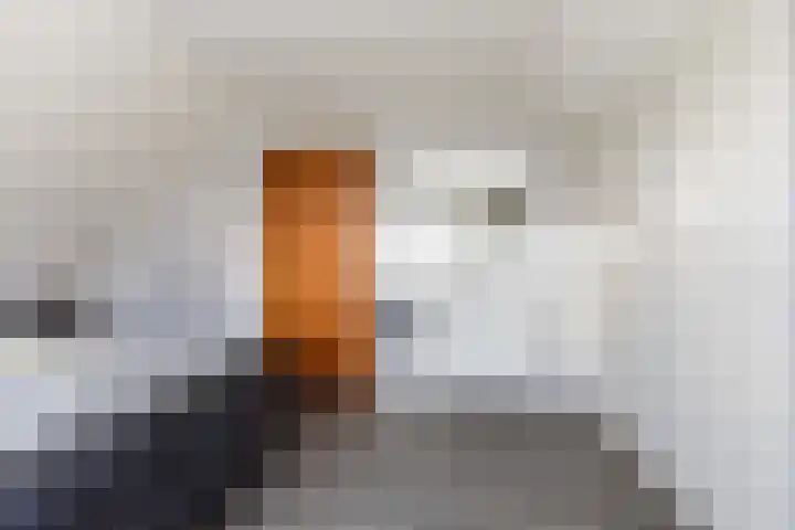 Scheivoor 3 Ederveen thumbnail 24