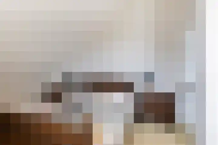 Scheivoor 3 Ederveen thumbnail 25
