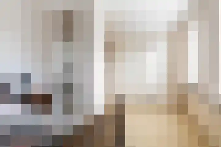Scheivoor 3 Ederveen thumbnail 26