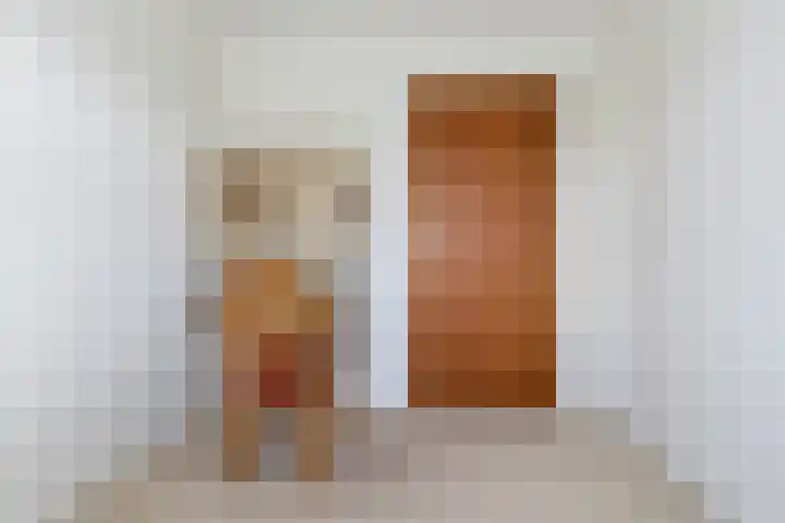 Scheivoor 3 Ederveen thumbnail 28