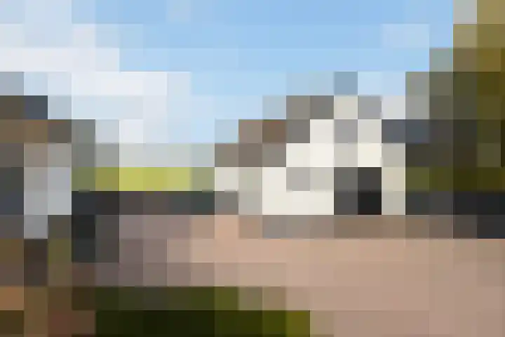 Scheivoor 3 Ederveen thumbnail 29