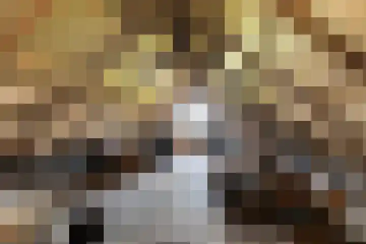 Scheivoor 3 Ederveen thumbnail 32