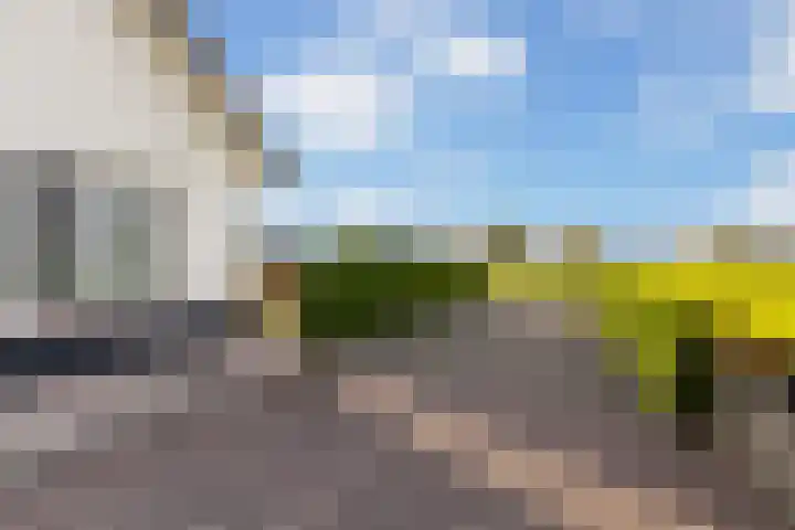 Scheivoor 3 Ederveen thumbnail 34