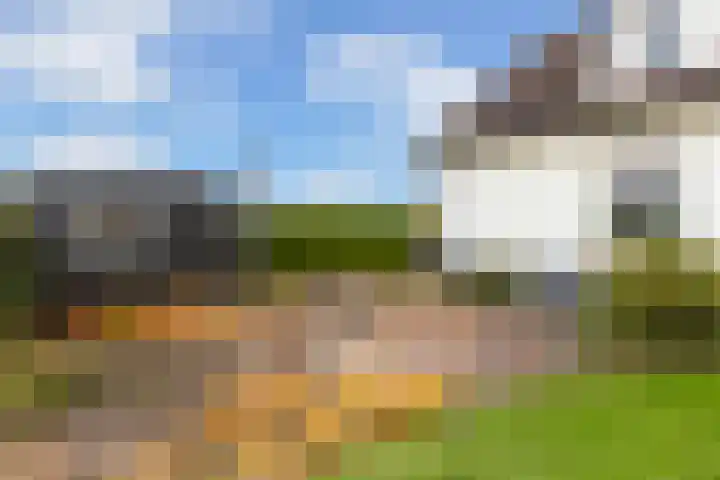 Scheivoor 3 Ederveen thumbnail 35