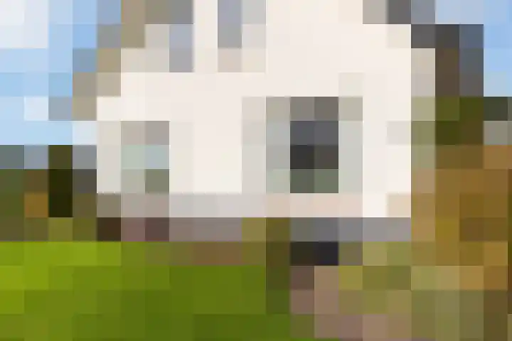 Scheivoor 3 Ederveen thumbnail 36