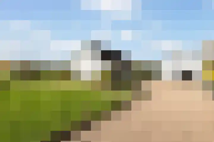 Scheivoor 3 Ederveen thumbnail 38