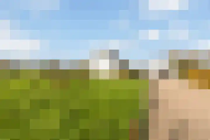 Scheivoor 3 Ederveen thumbnail 39