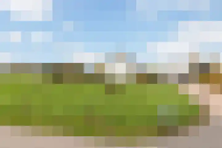Scheivoor 3 Ederveen thumbnail 40
