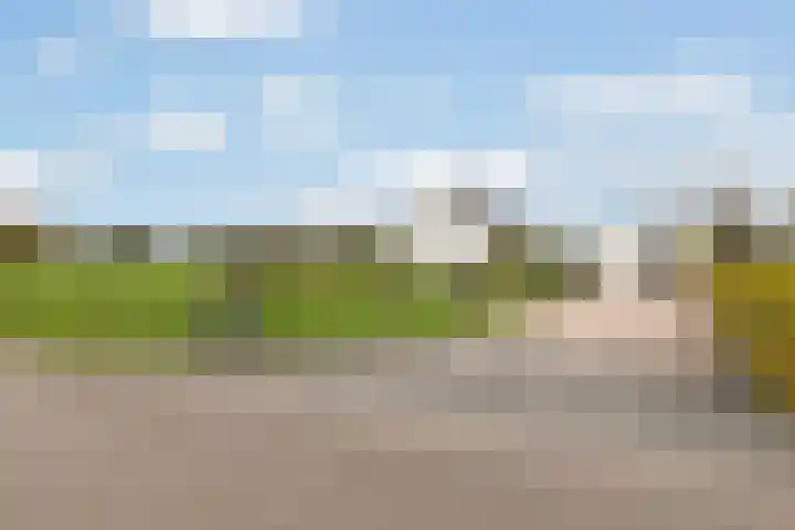 Scheivoor 3 Ederveen thumbnail 41