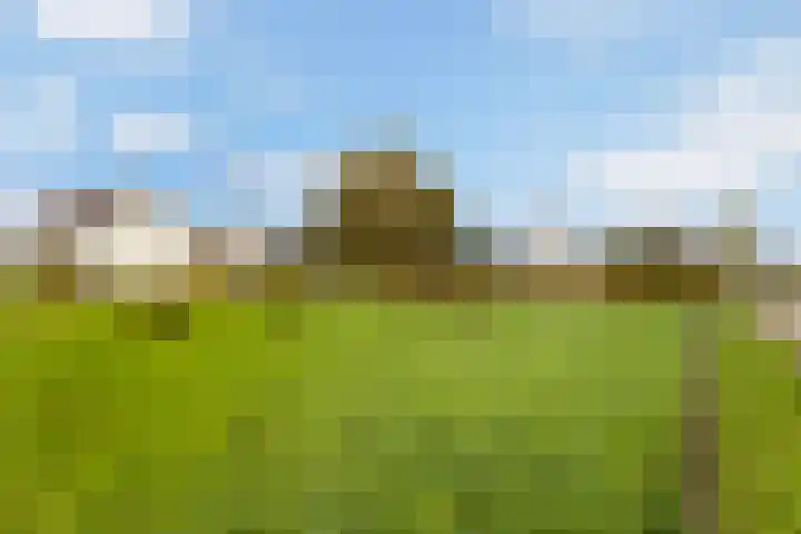 Scheivoor 3 Ederveen thumbnail 42