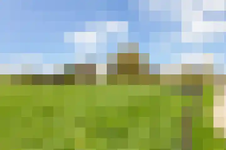 Scheivoor 3 Ederveen thumbnail 43