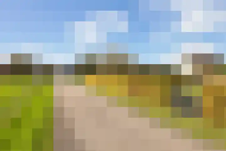 Scheivoor 3 Ederveen thumbnail 44