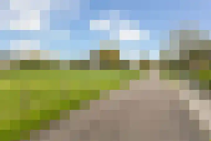 Scheivoor 3 Ederveen thumbnail 45