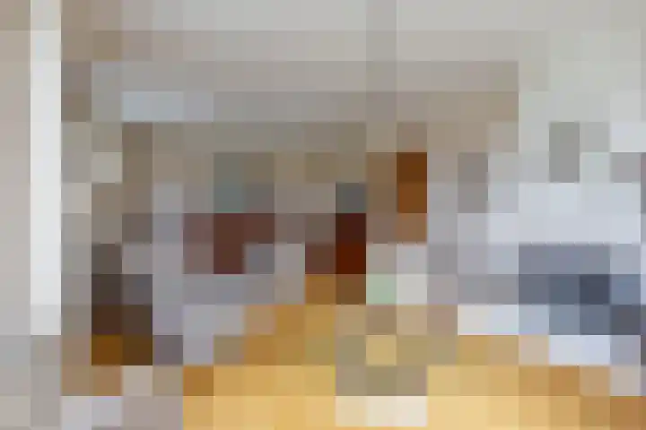 Scheivoor 3 Ederveen thumbnail 7