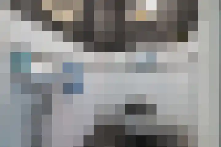 Schelde 1 Hoogeveen thumbnail 17