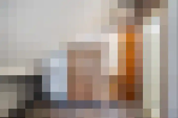 Schelde 1 Hoogeveen thumbnail 33