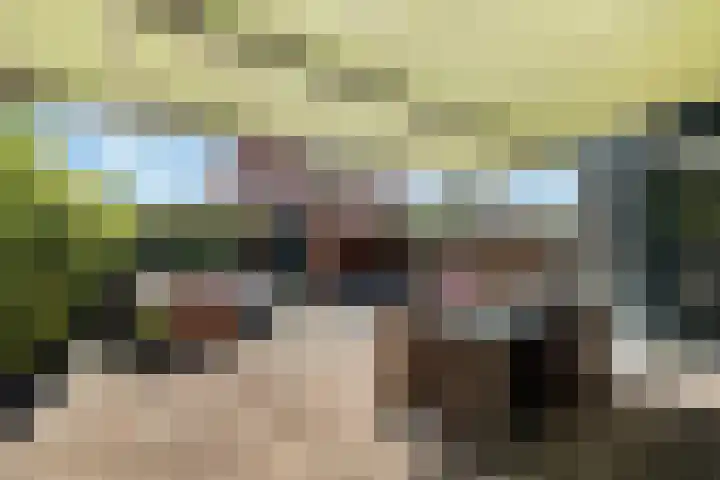 Schelde 1 Hoogeveen thumbnail 37