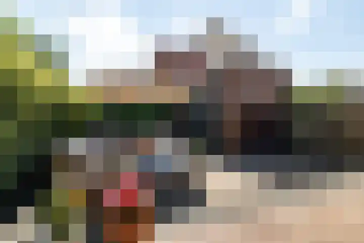 Schelde 1 Hoogeveen thumbnail 38