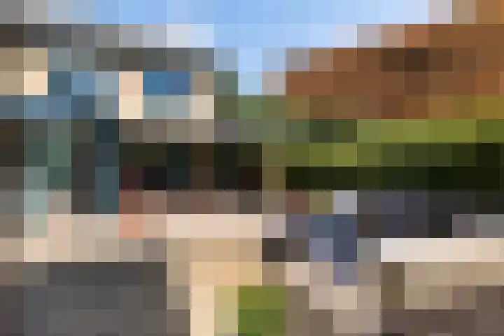 Schelde 1 Hoogeveen thumbnail 4