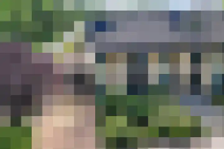 Schelde 1 Hoogeveen thumbnail 42