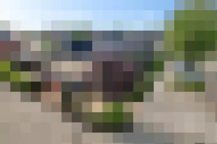 Schelde 1 Hoogeveen thumbnail 43