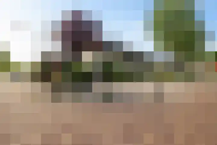 Schelde 1 Hoogeveen thumbnail 45