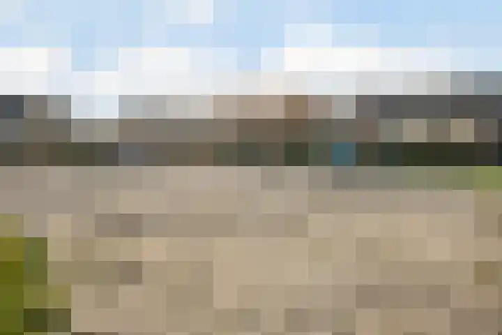 Schelde 11 Hoogeveen thumbnail 55