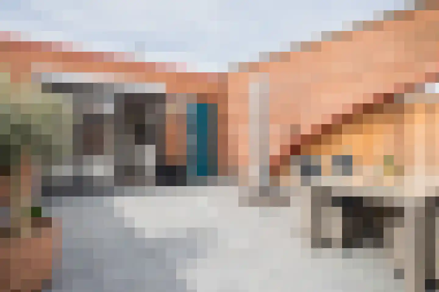 Schelde 30 Nieuwerkerk aan den IJssel thumbnail 28