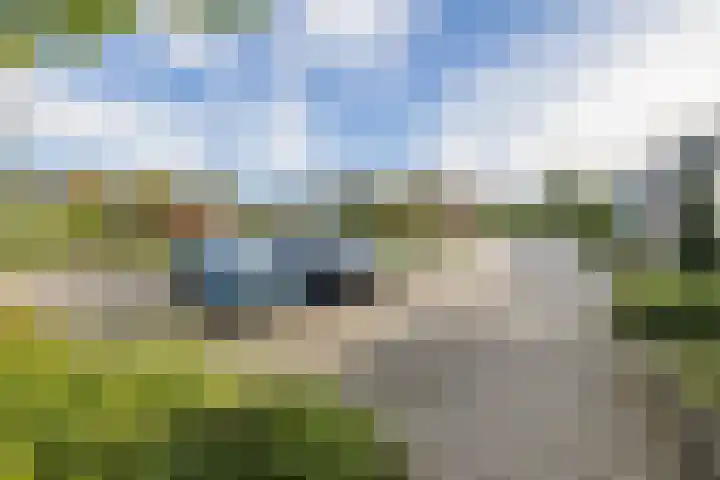 Schelde 68 Hoogeveen thumbnail 4