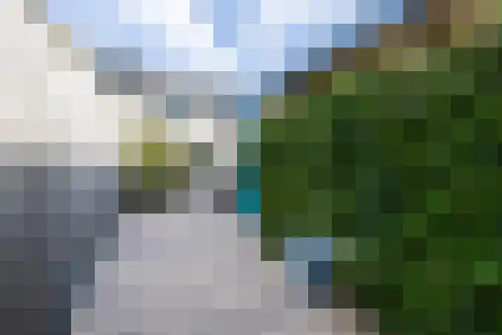 Schelde 68 Hoogeveen thumbnail 42